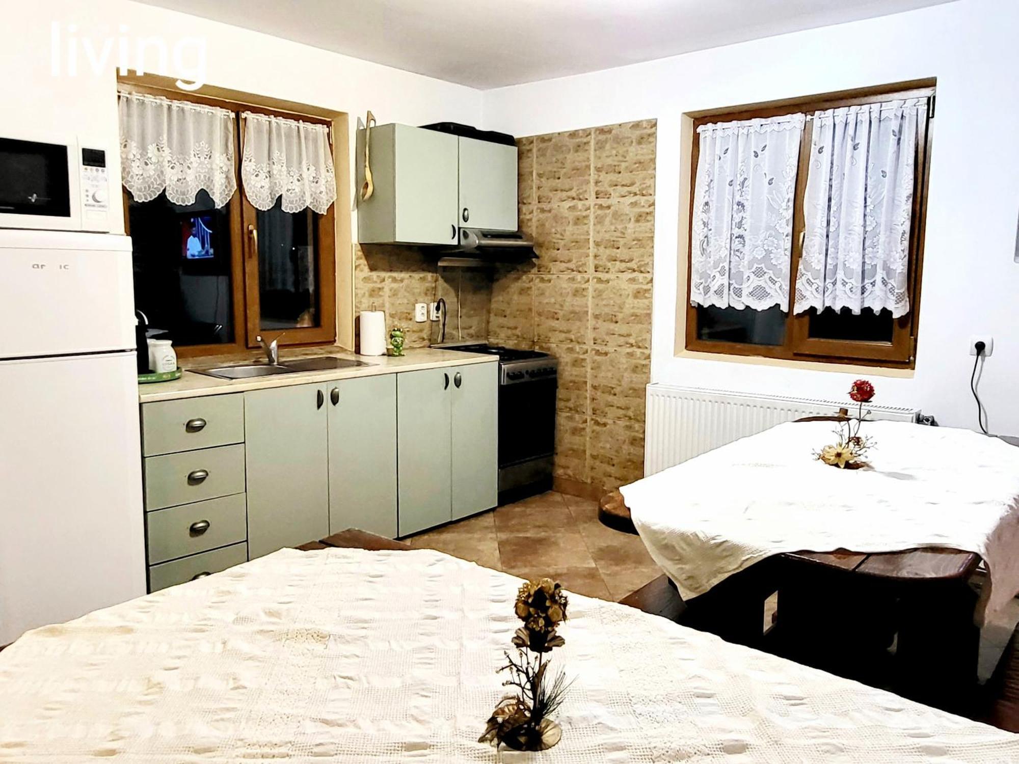 Vila Dariana Dornavátra Kültér fotó