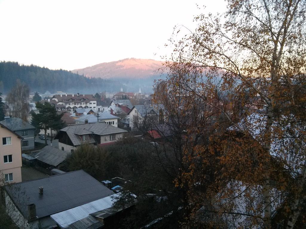 Vila Dariana Dornavátra Kültér fotó
