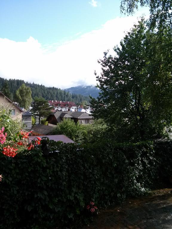 Vila Dariana Dornavátra Kültér fotó