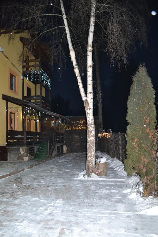 Vila Dariana Dornavátra Kültér fotó