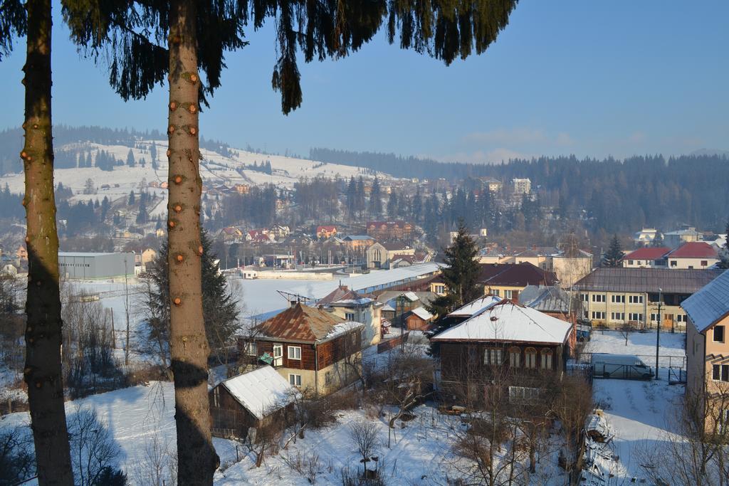 Vila Dariana Dornavátra Kültér fotó
