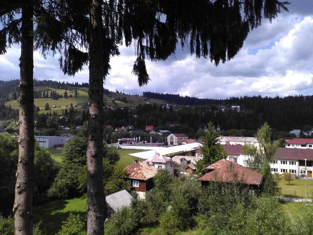 Vila Dariana Dornavátra Kültér fotó