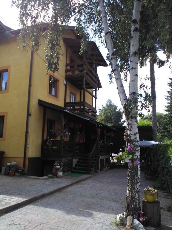 Vila Dariana Dornavátra Kültér fotó