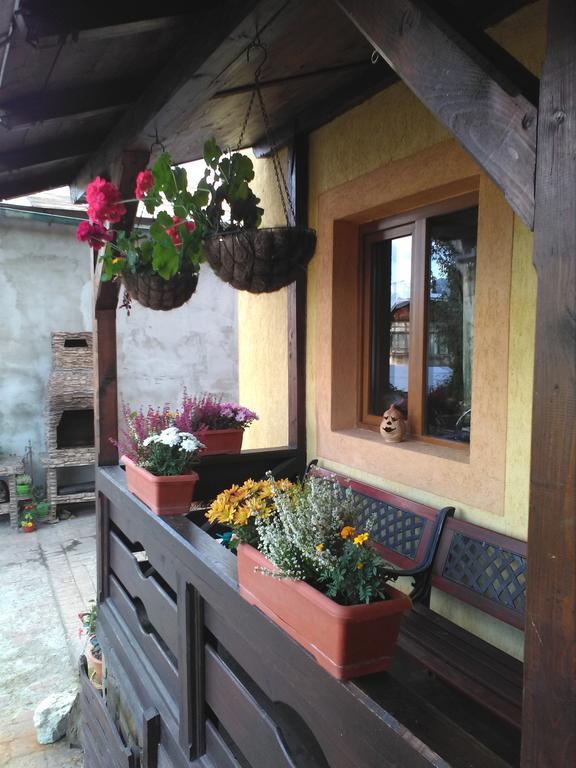 Vila Dariana Dornavátra Kültér fotó