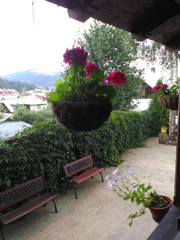 Vila Dariana Dornavátra Kültér fotó